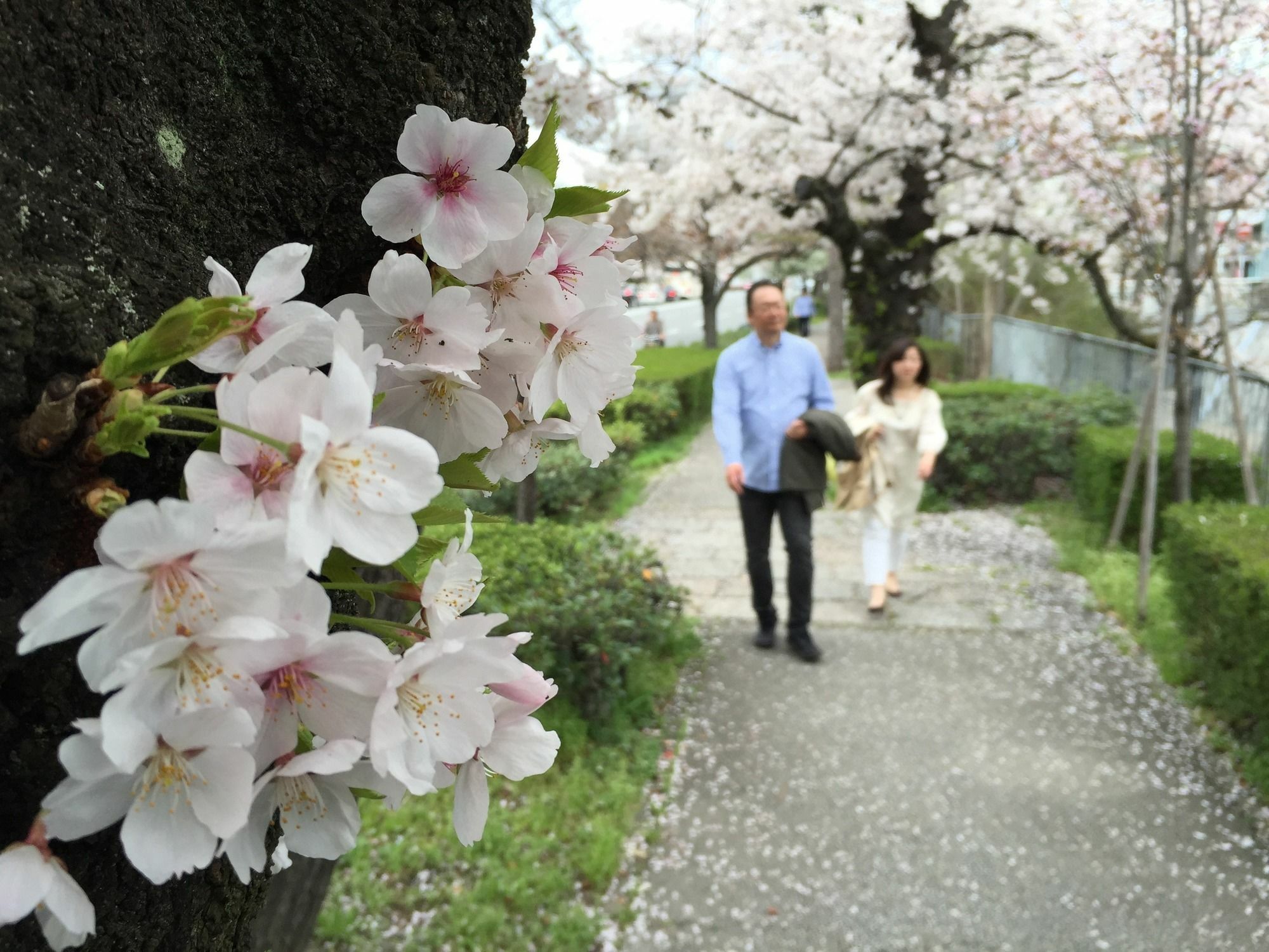 Guest House Makotoya 京都市 エクステリア 写真